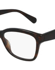 GG0798O 002 brown tortoise