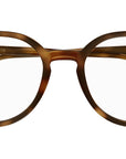 SL 681/F 002 Shiny Tortoise