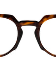 1383 Optical 02 Dark Turtle