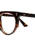 1383 Optical 02 Dark Turtle