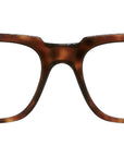 1381 Optical 02 Dark Turtle