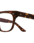 1381 Optical 02 Dark Turtle