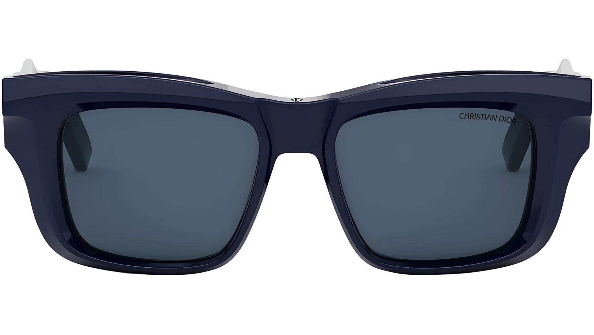 DiorXplorer S2I Blue Butterfly Sunglasses