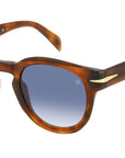 DB 7041/S FLAT WR9 08 Brown Havana