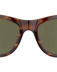 Chandler SS557 001 Tortoise