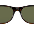 New Wayfarer Classic RB2132 gloss tortoise