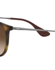 Erika Classic RB4171 matte tortoise