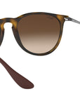 Erika Classic RB4171 matte tortoise