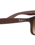 Andy RB4202 607313 matte brown on brown