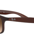 Andy RB4202 607313 matte brown on brown