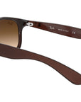 Andy RB4202 607313 matte brown on brown