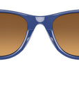 Wayfarer RJ9066S 7039B7 blue