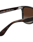 Blaze Wayfarer RB4440N 710/13 light havana