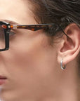 Q1 BST Black Shine Tortoise
