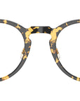 Orrison OV5544 1778 Tokyo Tortoise