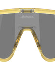 Latch Panel OO9404 14 Gold Grass