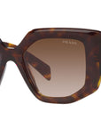 PR 14ZS tortoise