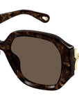 CH0236S 002 Tortoise Brown